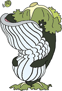 �z�G�[���^�X